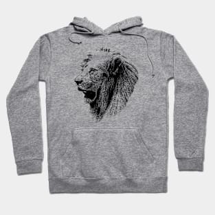 Lion portrait Hoodie